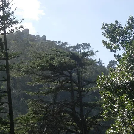 Casa Do Lado - Tourism With Character 別荘 シントラ
