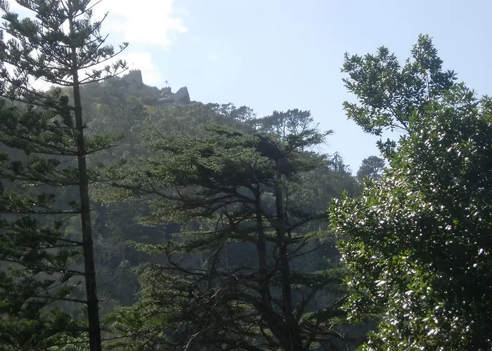 Casa Do Lado - Tourism With Character 펜션 신트라